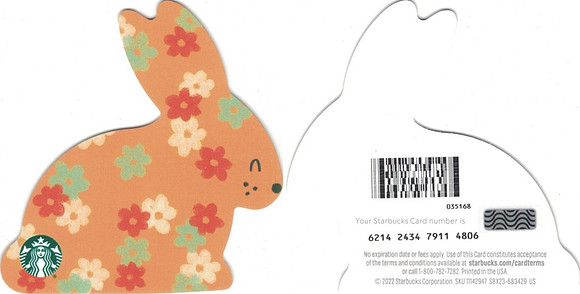 2022 6214 EASTER 2023 MINI - ORANGE