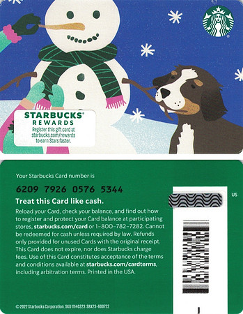 2022 6209 SNOWMAN HELPER