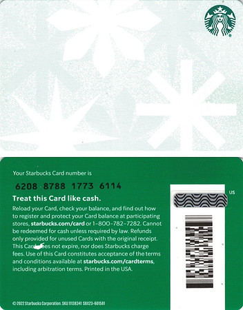 2022 6208 HOLIDAY SNOWFLAKE 2022 - TURQUOISE