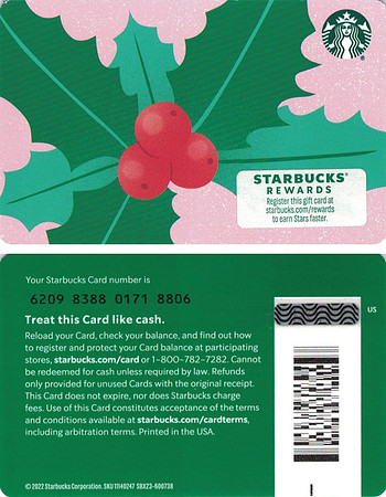 2022 6209 HOLLY CHERRIES