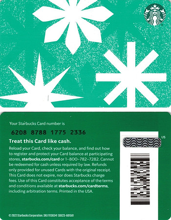 2022 6208 HOLIDAY SNOWFLAKE 2022 - LIGHT GREEN