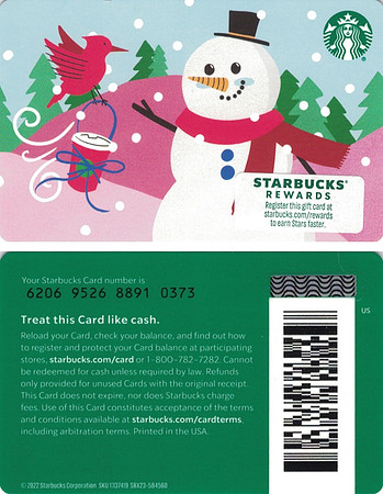 2022 6206 SNOWMAN 2022