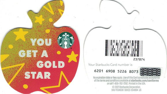 2021 6201 TEACHER MINI SET - YOU GET A GOLD STAR