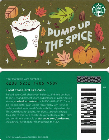 2022 6208 PUMP UP THE SPICE