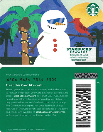 2022 6206 TROPICAL SNOWMAN