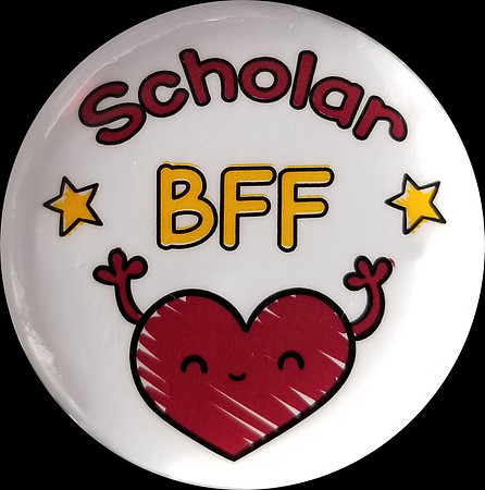 ASU SET - SCHOLAR BFF - 2017