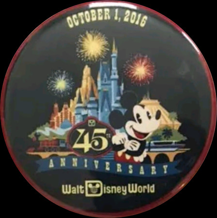 WALT DISNEY WORLD - 2016