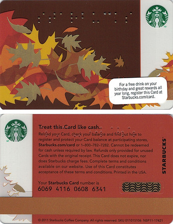 2011 6069 FALL BRAILLE