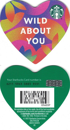 2022 6211 VALENTINE'S DAY MINI - WILD ABOUT YOU