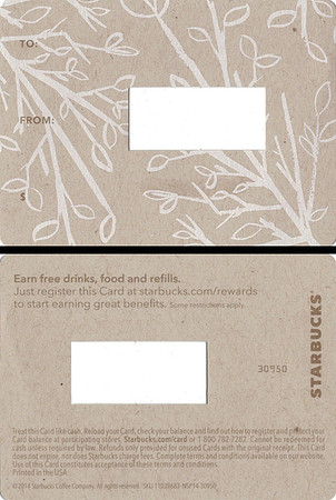 2014 FALL LEAVES MINI - BACKING (SET OF 4)