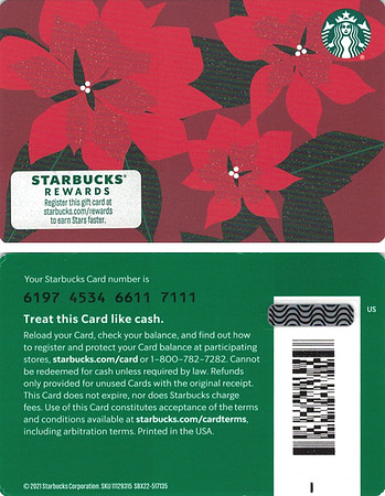 2021 6197 POINSETTIA 2021