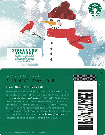 2021 6195 SNOWMAN 2021
