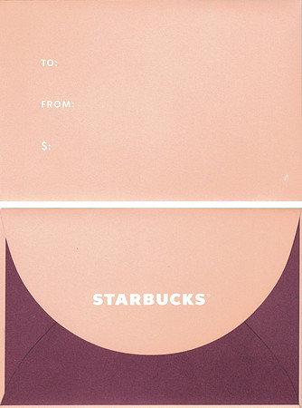 2019 CORE ENVELOPE - PINK/RED
