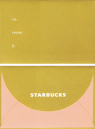 2019 CORE ENVELOPE - YELLOW/PINK
