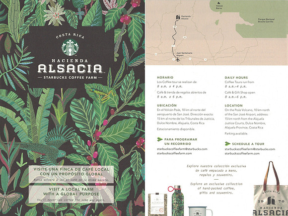 2018 COSTA RICA HACIENDA ALSACIA COFFEE FARM