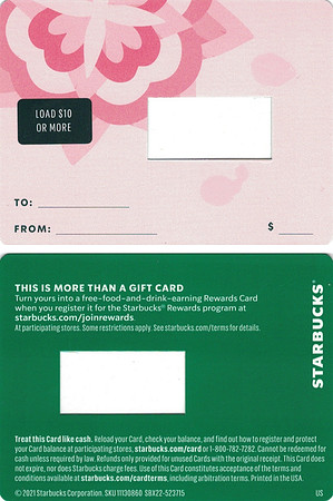 2021 VALENTINE'S DAY 2022 MINI - BACKING - PINK